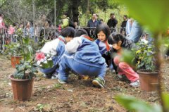 自闭症儿童相约春天播种希望