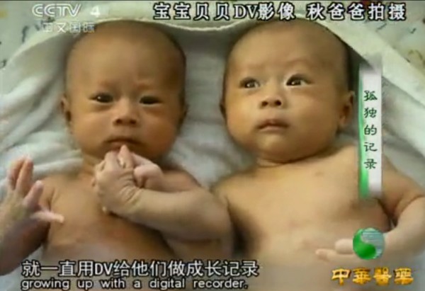 孤独的记录：孤独症双胞胎的故事