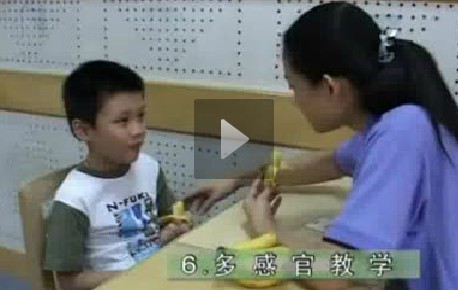 残疾儿童早期康复训练系列-自闭症康复