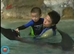 孩子得了自闭症 “海豚医生”来帮忙