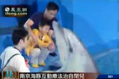 海豚当医生 治疗自闭症儿童