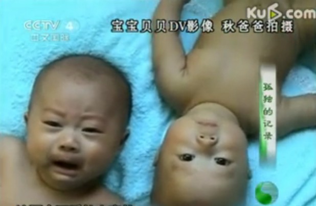 视频：[中华医药]孤独的记录