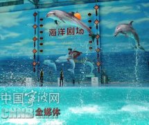 《亲亲海豚》宁波开机 讲述自闭症儿童与海豚的故事