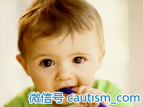 个案分析：孤独症儿童注意力的训练方案