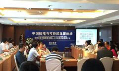 中国残障与可持续发展论坛家长组织谈融合残疾人融合教育
