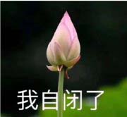 为什么自闭症的诊治如此困难？
